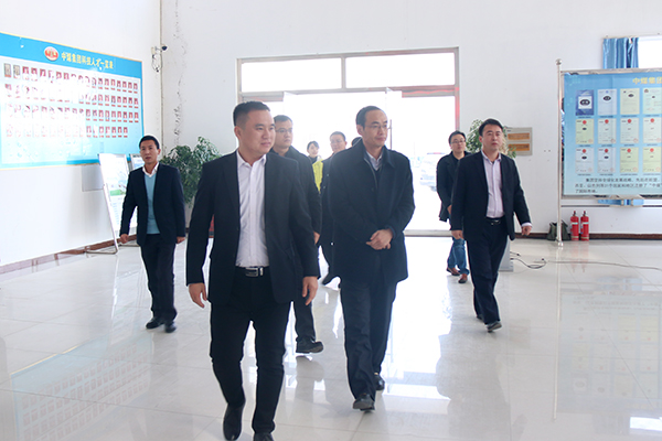 Welcome Director Li of Tai''an Municipal Research Department to China Coal Group For Investigation