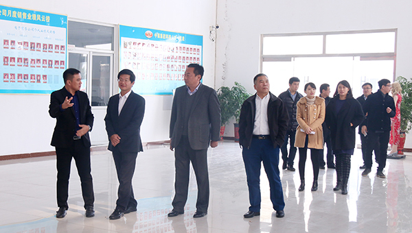 Siemens China Visited Shandong China Coal Group for Investigation